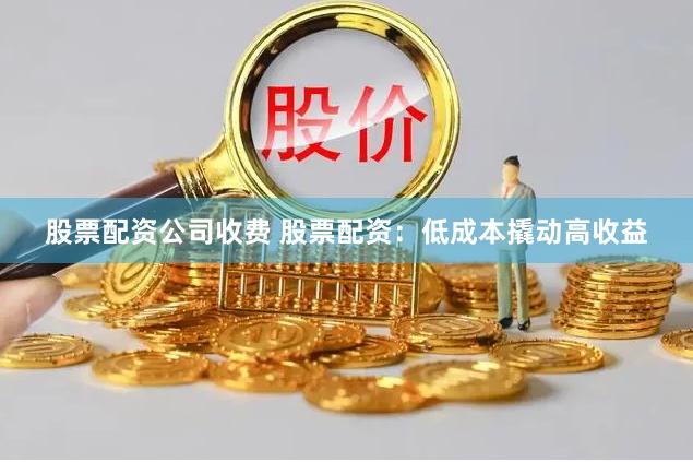股票配资公司收费 股票配资：低成本撬动高收益